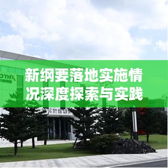 新纲要落地实施情况深度探索与实践经验分享