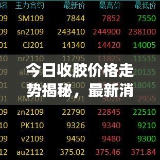 新闻中心 第10页