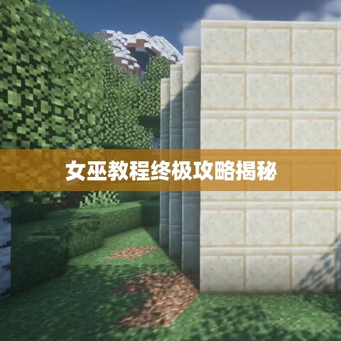 女巫教程终极攻略揭秘