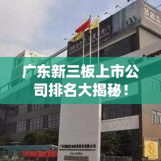 广东新三板上市公司排名大揭秘！