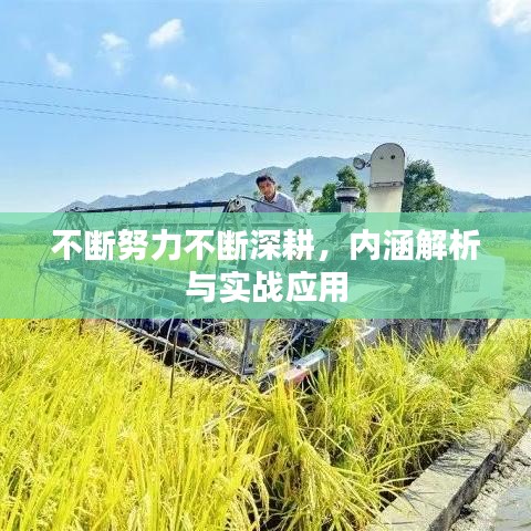 不断努力不断深耕，内涵解析与实战应用
