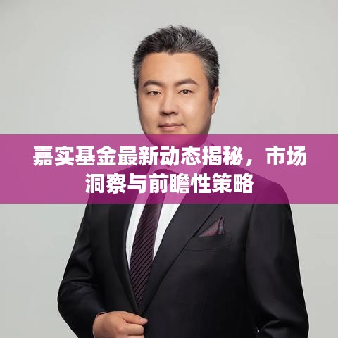 嘉实基金最新动态揭秘，市场洞察与前瞻性策略