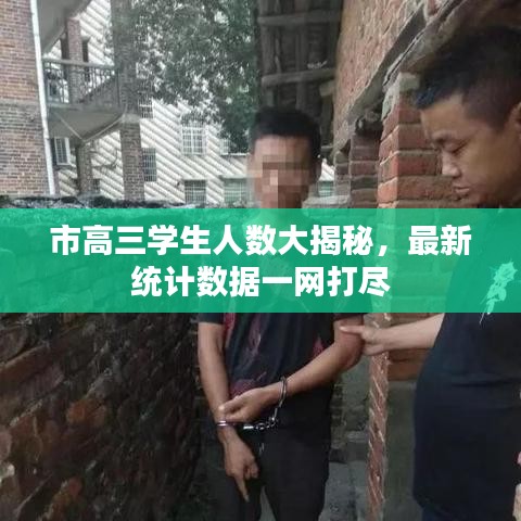 市高三学生人数大揭秘，最新统计数据一网打尽