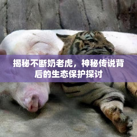 新闻中心 第8页