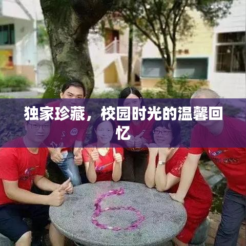 独家珍藏，校园时光的温馨回忆
