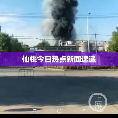 仙桃今日热点新闻速递