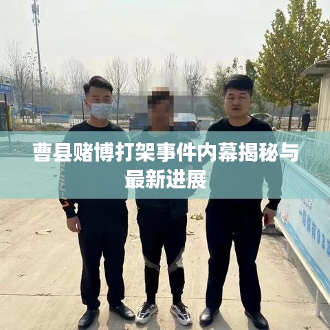 曹县赌博打架事件内幕揭秘与最新进展