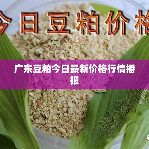 抛砖引玉