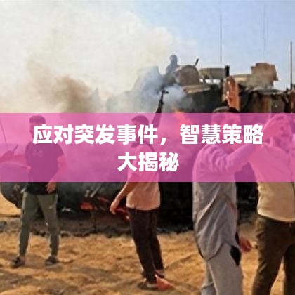 应对突发事件，智慧策略大揭秘