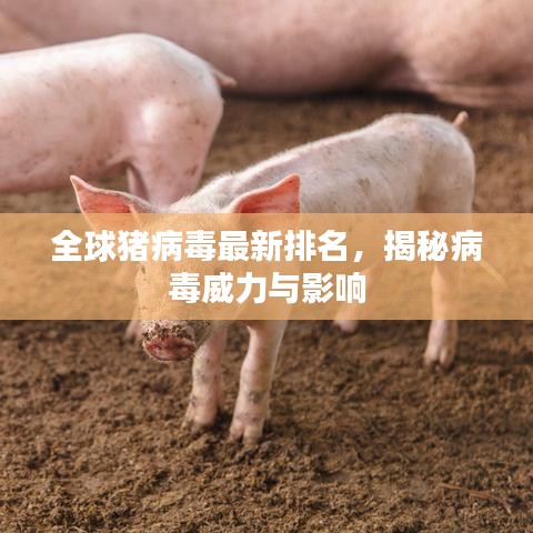 不知所云