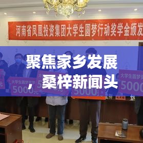 聚焦家乡发展，桑梓新闻头条传递正能量资讯