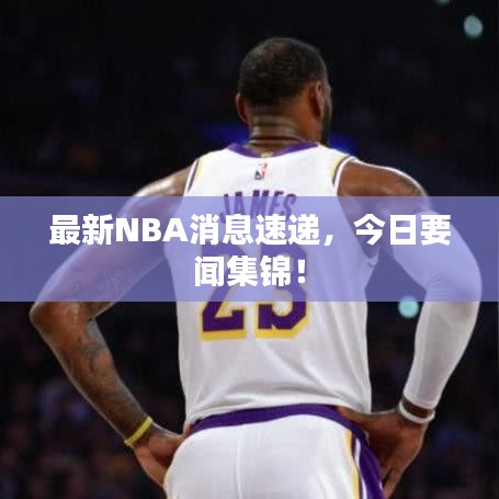 最新NBA消息速递，今日要闻集锦！