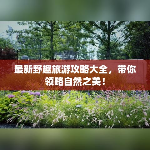 最新野趣旅游攻略大全，带你领略自然之美！