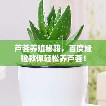 鞭驽策蹇