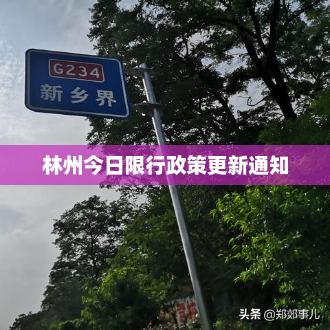 林州今日限行政策更新通知