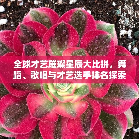 常见问题 第3页