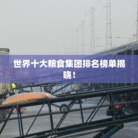 急就章