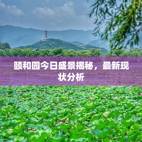 2025年5月15日 第2页