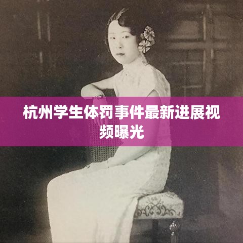 杭州学生体罚事件最新进展视频曝光
