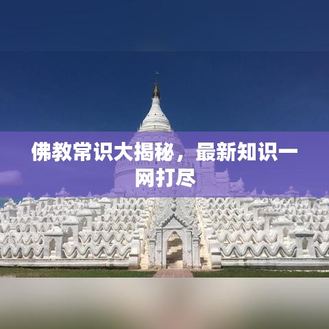 佛教常识大揭秘，最新知识一网打尽