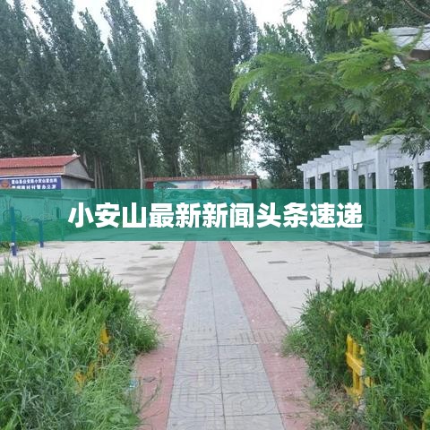 小安山最新新闻头条速递
