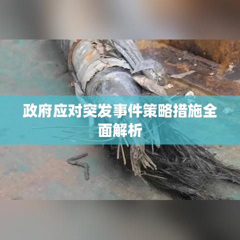 政府应对突发事件策略措施全面解析
