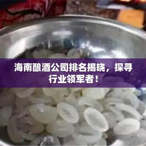 海南酿酒公司排名揭晓，探寻行业领军者！