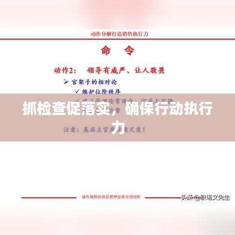 抓检查促落实，确保行动执行力