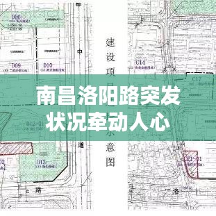 南昌洛阳路突发状况牵动人心