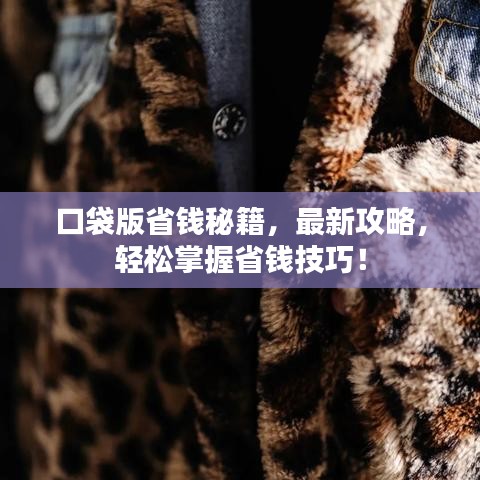口袋版省钱秘籍，最新攻略，轻松掌握省钱技巧！