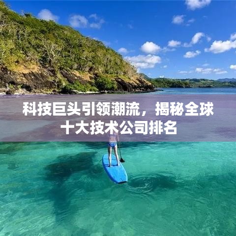 科技巨头引领潮流，揭秘全球十大技术公司排名