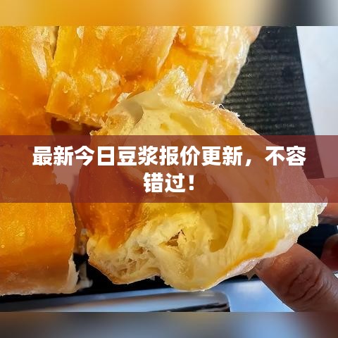 最新今日豆浆报价更新，不容错过！