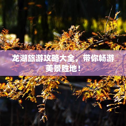 龙湖旅游攻略大全，带你畅游美景胜地！