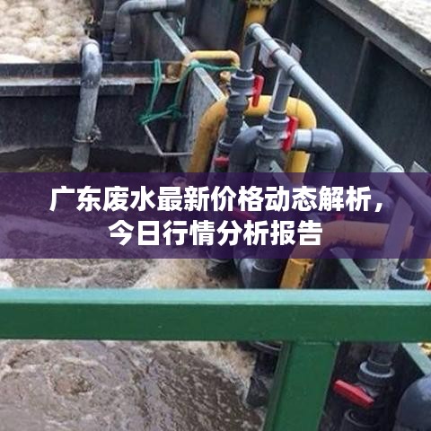 广东废水最新价格动态解析，今日行情分析报告