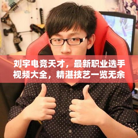 刘宇电竞天才，最新职业选手视频大全，精湛技艺一览无余