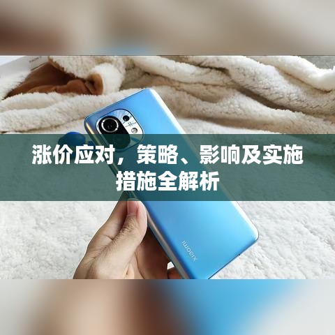 涨价应对，策略、影响及实施措施全解析