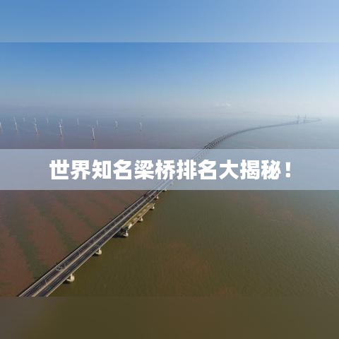 世界知名梁桥排名大揭秘！