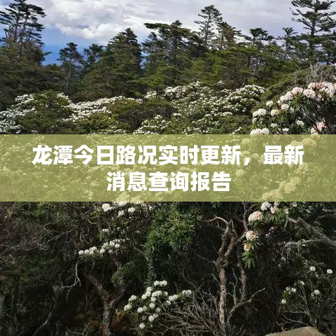 龙潭今日路况实时更新，最新消息查询报告
