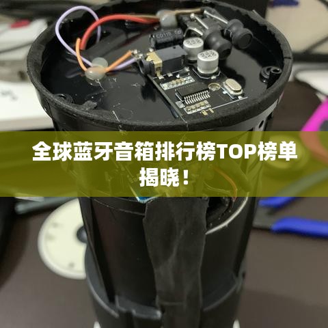 全球蓝牙音箱排行榜TOP榜单揭晓！