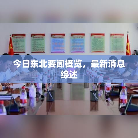 今日东北要闻概览，最新消息综述