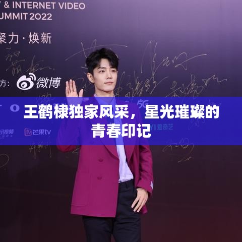 王鹤棣独家风采，星光璀璨的青春印记