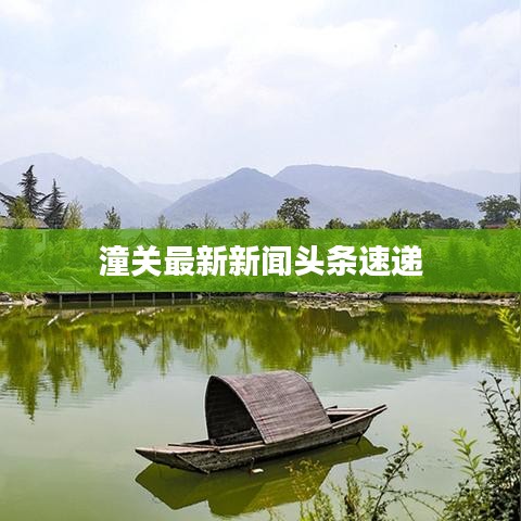 潼关最新新闻头条速递