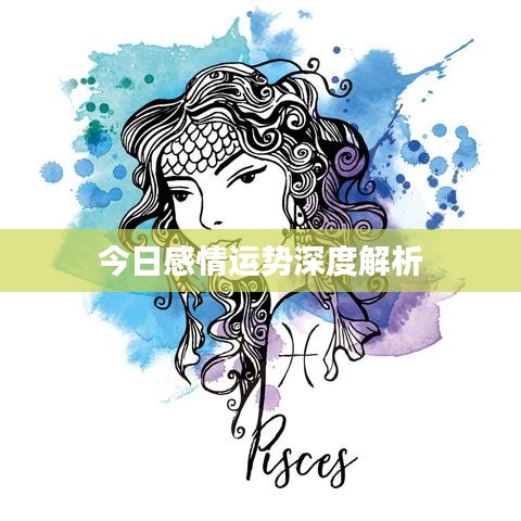 今日感情运势深度解析