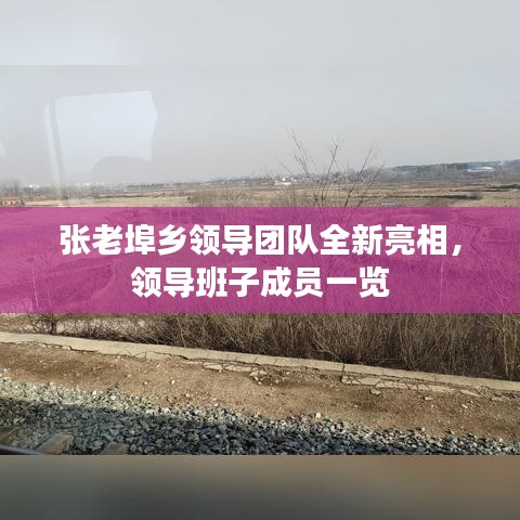 张老埠乡领导团队全新亮相，领导班子成员一览