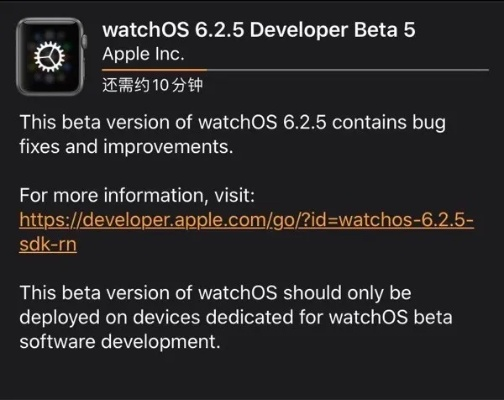 专业级工具,六十秒官方下载,watchOS_v10.913功能性操作方案制定