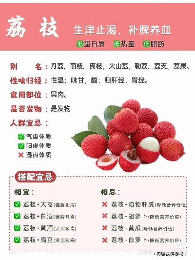 荔枝下载电脑版官方下载,专家意见解释定义-X版_v5.593