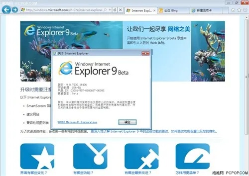 ie软件下载官方网站,完善系统评估&Mixed_v7.135