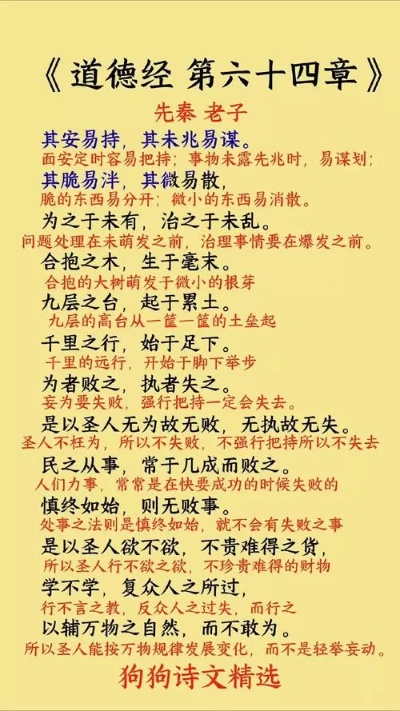 手心网官方下载同道德经 版本,涵盖广泛的说明方法-精装版_v2.654