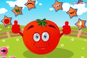 疯狂番茄官方下载或华为降版本,实地数据评估解析 3K_v7.504