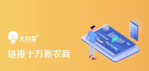 大白菜最新版本及支付官方下载10.0,灵活解析实施 免费版_v5.875